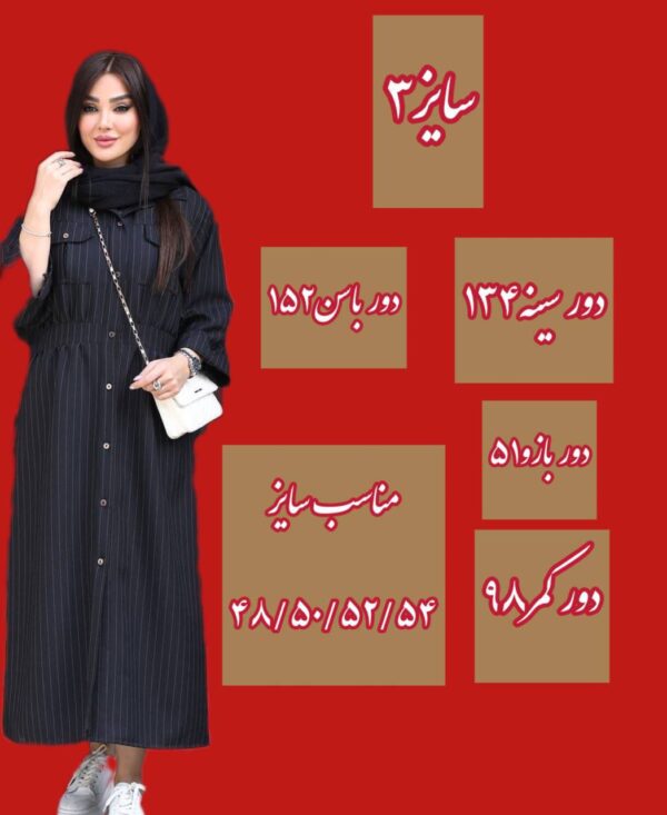 مانتو_دیپلمات - تصویر 2